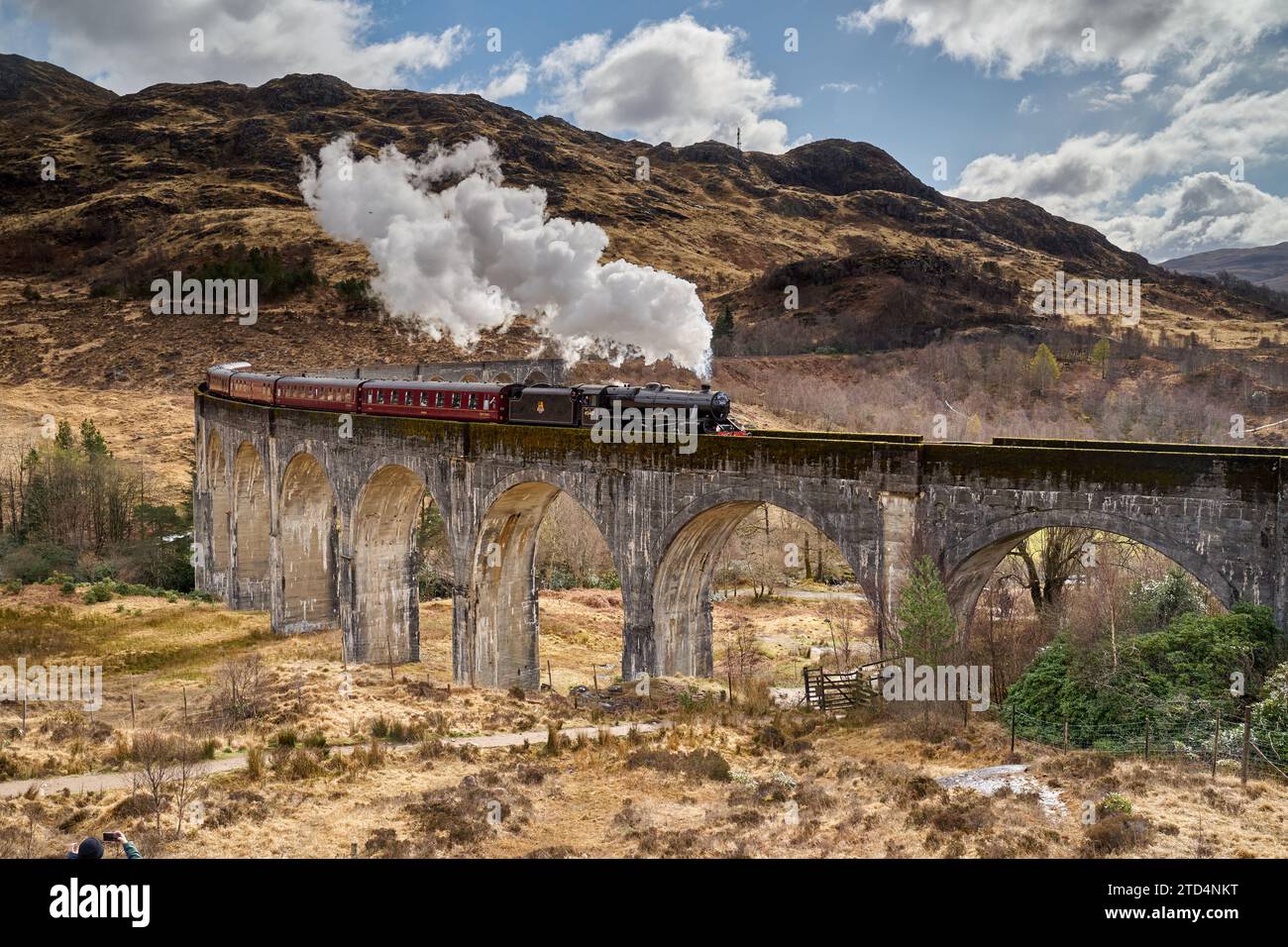 Le train à vapeur jacobite qui traverse le viaduc de Glenfinnan, Highlands, Écosse. Rendu célèbre par les films Harry Potter. Banque D'Images