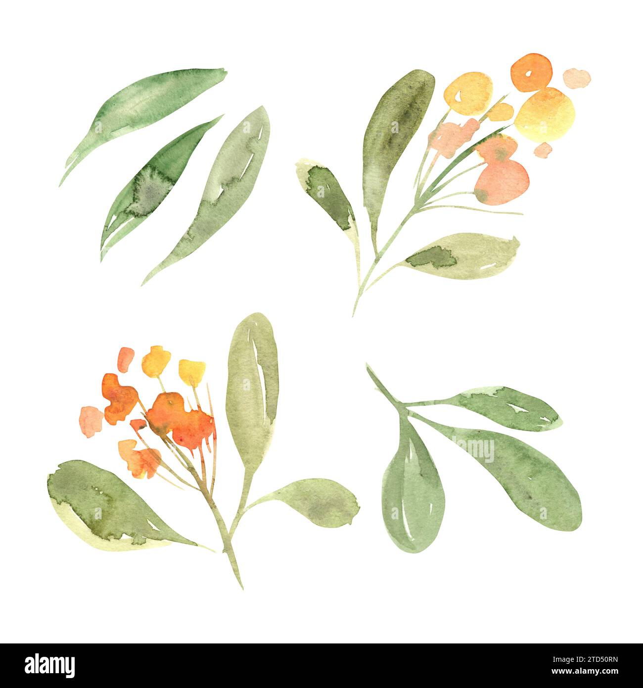 Ensemble botanique aquarelle de fleurs jaunes et de feuilles vertes. Illustration dessinée à la main du modèle botanique pour les cartes de voeux ou invitations de mariage Banque D'Images Ensemble botanique aquarelle de fleurs jaunes et de feuilles vertes. Illustration dessinée à la main du modèle botanique pour les cartes de voeux ou invitations de mariage Banque D'Images