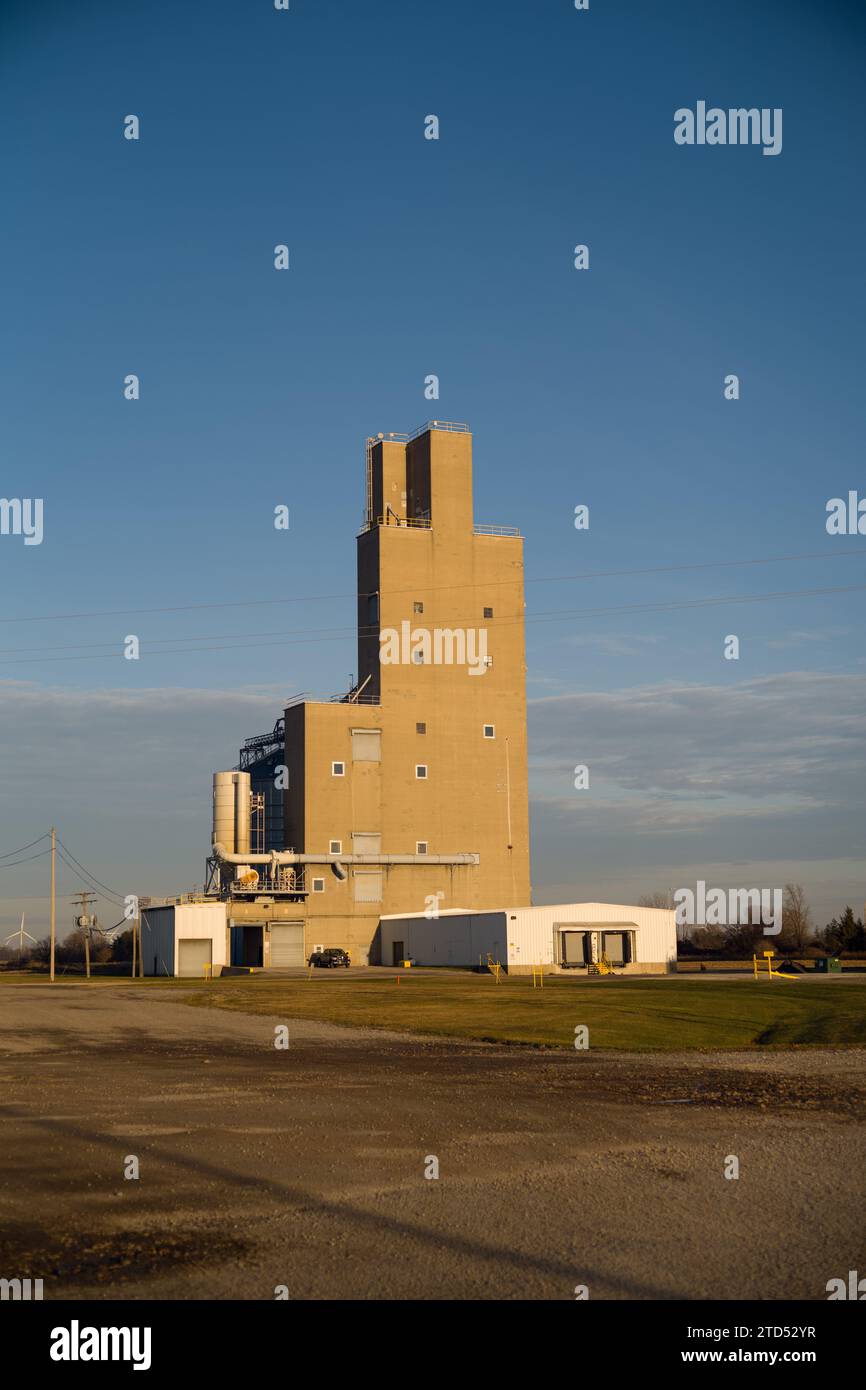 Étoile de l'élévateur ouest utilisé pour le traitement du soja de qualité alimentaire, à Fairgrove Michigan USA Banque D'Images