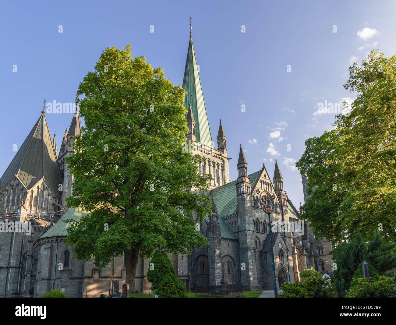 La cathédrale de Nidaros à Trondheim, en Norvège, magnifique chef-d'œuvre gothique et sanctuaire national, se dresse majestueusement sous un ciel bleu clair Banque D'Images