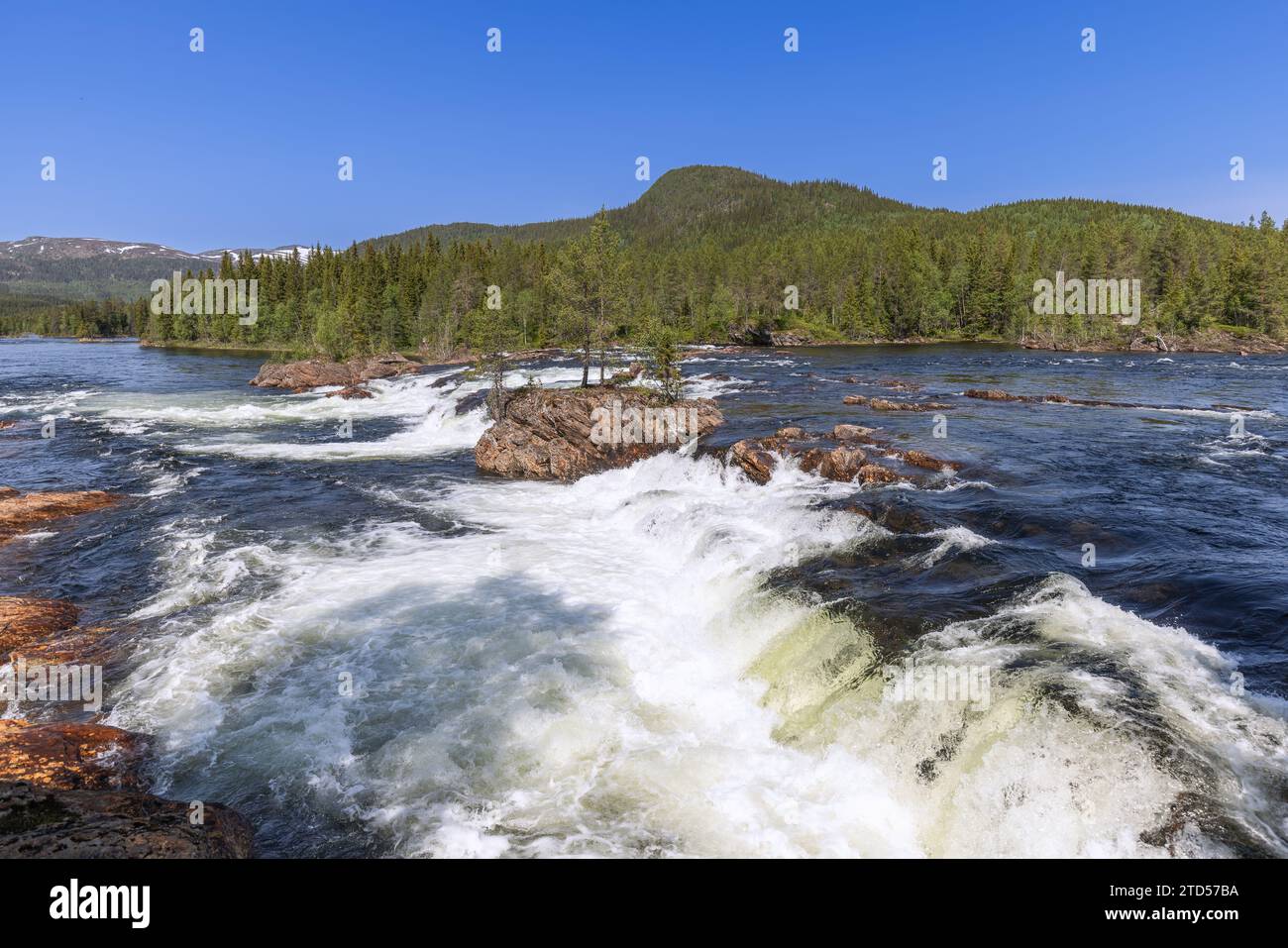 Une vue estivale de la rivière Namsen à Namsskogan, Trondelag, Norvège, avec des eaux en cascade au-dessus de grands rochers, où les arbres solitaires prospèrent, ensemble Banque D'Images