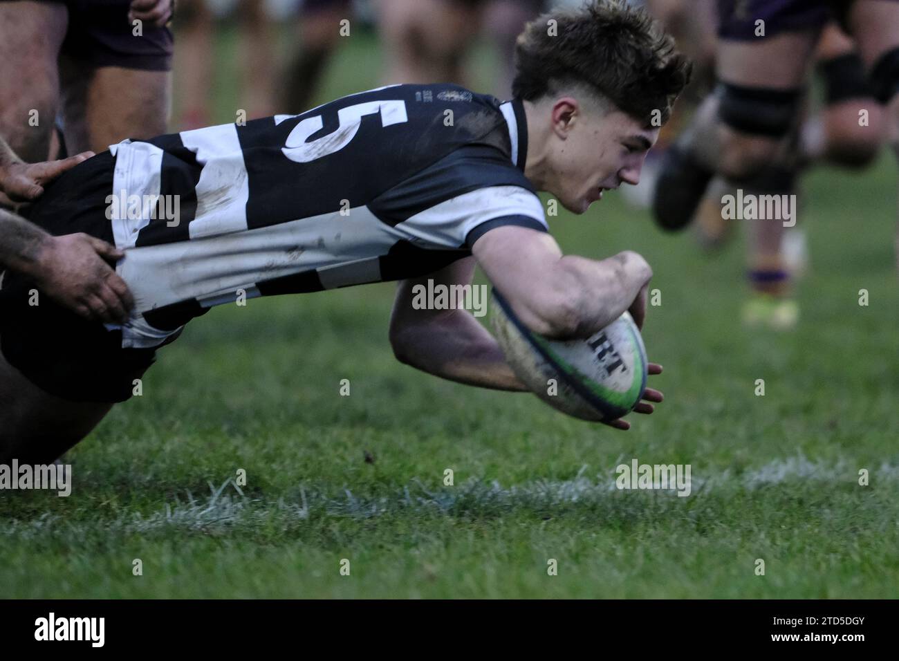 Kelso, Scottish Borders, Royaume-Uni. 16 décembre 2023. Scottish Premiership Rugby le 16 décembre 2023 au Kelso RFC, Poynder Park. Kelso RFC vs Marr Rugby Archie Barbour (Kelso RFC) marque pour Kelso. Score FT - 48 - 24 crédit : Rob Gray / freelance crédit : Rob Gray / Alamy Live News Banque D'Images