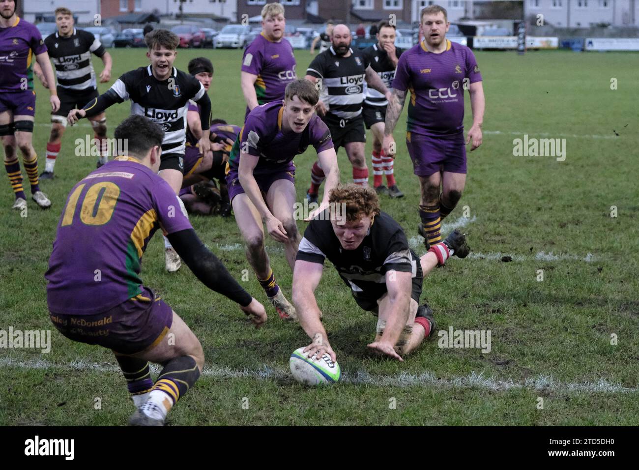 Kelso, Scottish Borders, Royaume-Uni. 16 décembre 2023. Scottish Premiership Rugby le 16 décembre 2023 au Kelso RFC, Poynder Park. Kelso RFC vs Marr Rugby Keith Melbourne (Kelso RFC) va essayer crédit : Rob Gray / freelance crédit : Rob Gray / Alamy Live News Banque D'Images