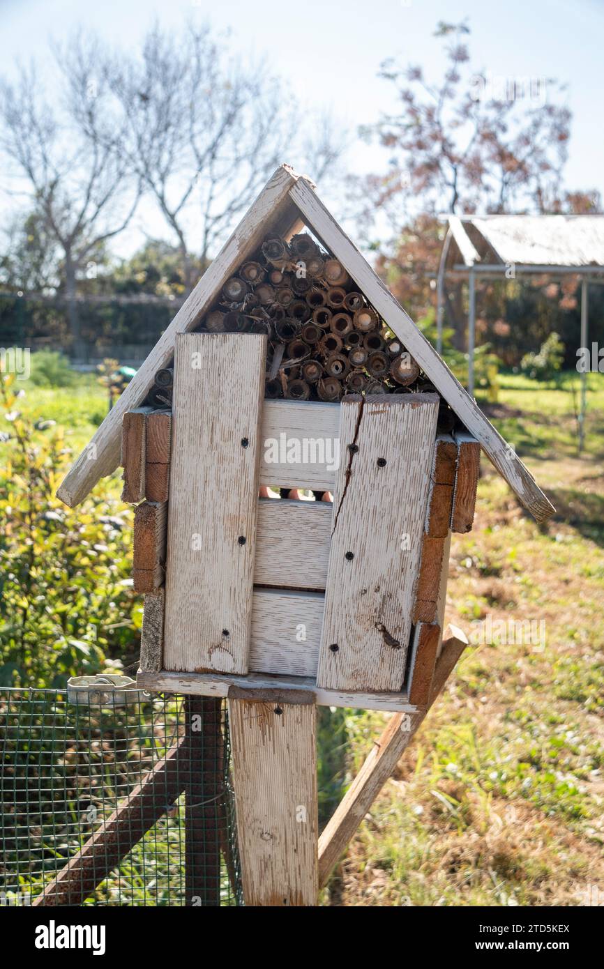 Hôtel à insectes dans un verger biologique Banque D'Images