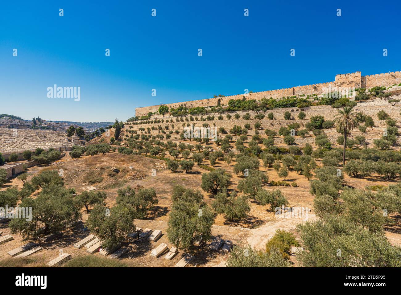Vue panoramique de la vallée de Kidron avec des oliviers, un cimetière et la porte d'or dans le Mont du Temple de Jérusalem Banque D'Images