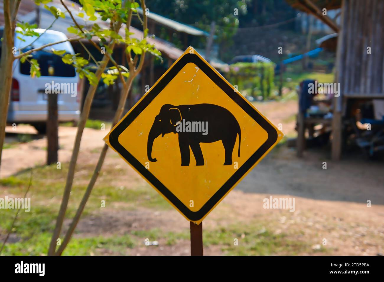 Panneau de signalisation routière avertissement pour éléphants, Thaïlande Banque D'Images