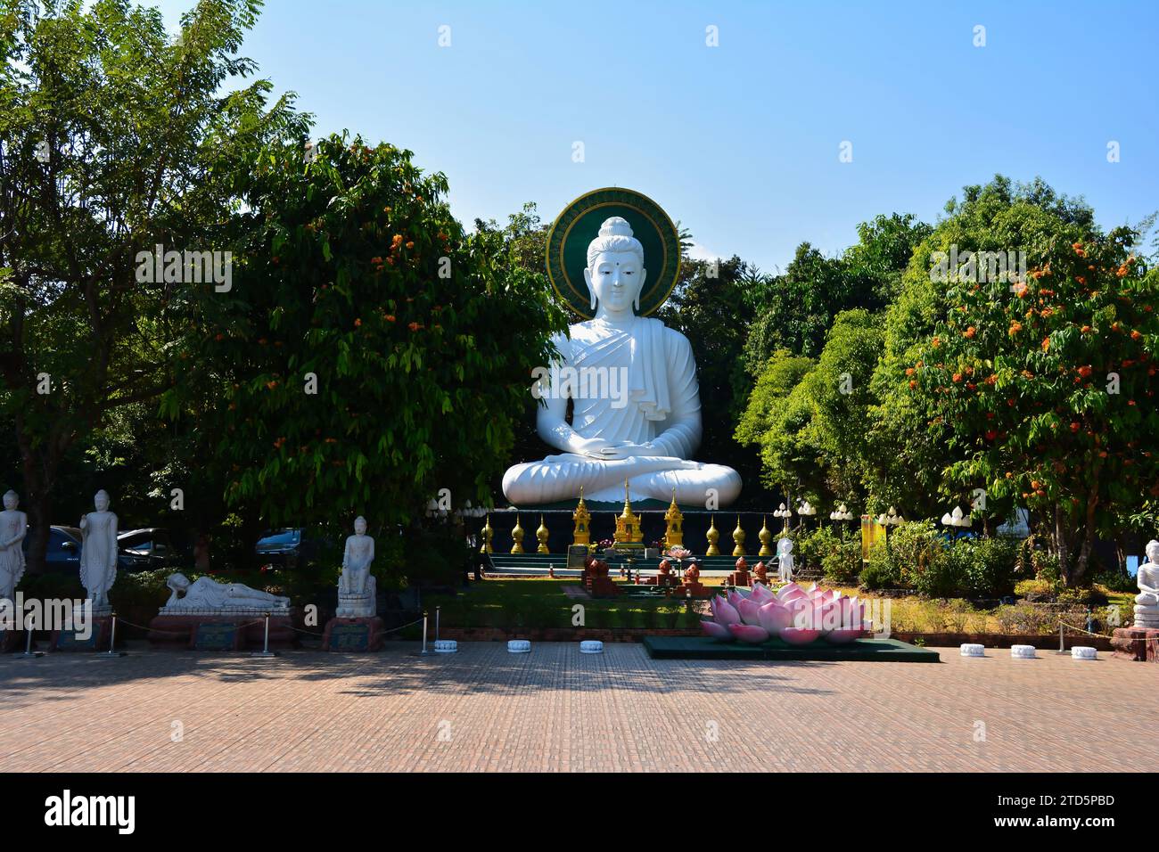 Le parc biologique du bouddha de Doi, dans la province de Chiang Rai en Thaïlande Banque D'Images