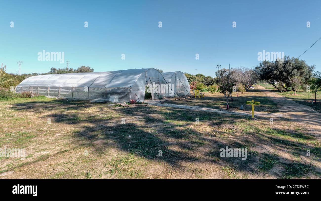 Panorama. Vue panoramique avec une serre en plastique installée dans un jardin sauvage. Légumes cultivés de manière biologique. Banque D'Images
