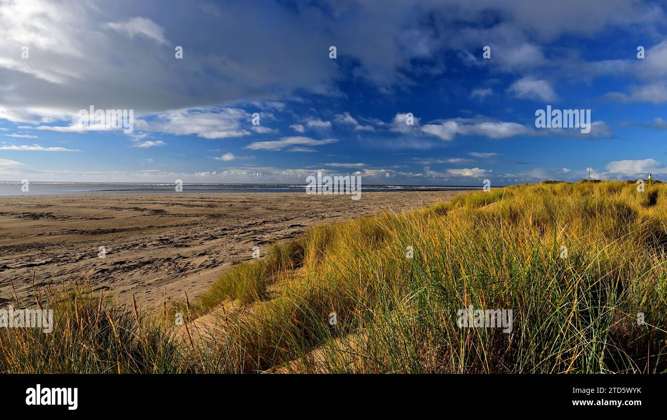 Plage d'Aberdyfi surplombant Cardigan Bay avec un ciel bleu et de doux nuages Gwynedd Wales UK Banque D'Images