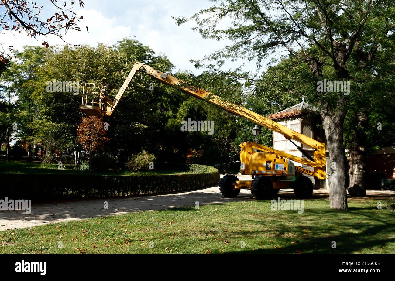 Madrid. 22 septembre 2014. Signalez les arbres dans le parc El Retiro. Oscar del Pozo Archdc. Crédit : Album / Archivo ABC / Oscar del Pozo Banque D'Images