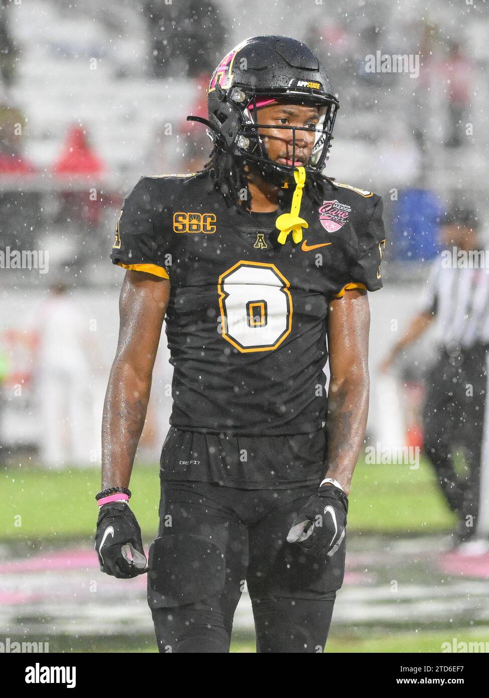 16 décembre 2023 : le receveur Dalton Stroman (8) de l'État des Appalaches lors d'un match de football de la NCAA dans les avocats du Mexico Cure Bowl entre les Appalachian State Mountaineers et les Redhawks de Miami au FBC Mortgage Stadium à Orlando, FL. Romeo T Guzman/Cal Sport Media(image de crédit : © Romeo Guzman/Cal Sport Media) Banque D'Images