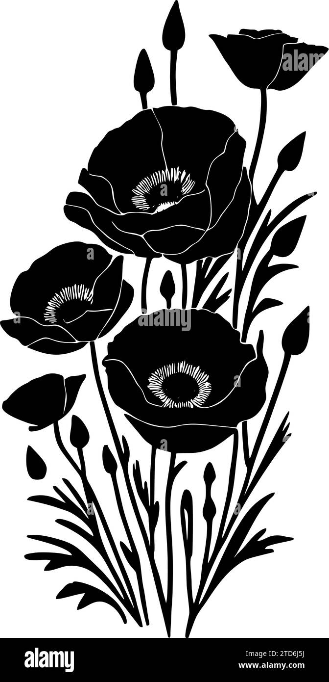 silhouette simple de dessin de contour noir de fleur de coquelicot, conception Banque D'Images