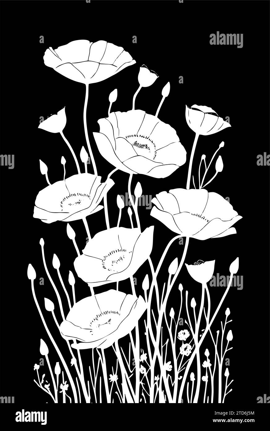 dessin linéaire graphique blanc d'une branche de fleurs sur fond noir, design Banque D'Images