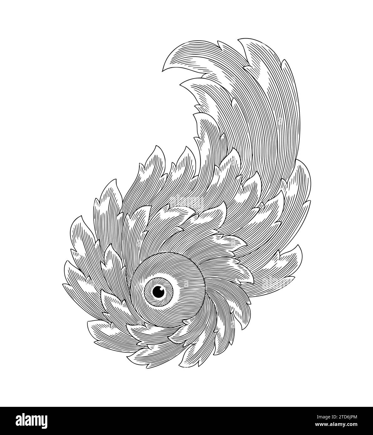 Oeil avec rouleau de feuilles florales d'ornement baroque vintage, illustration de dessin de gravure antique Illustration de Vecteur