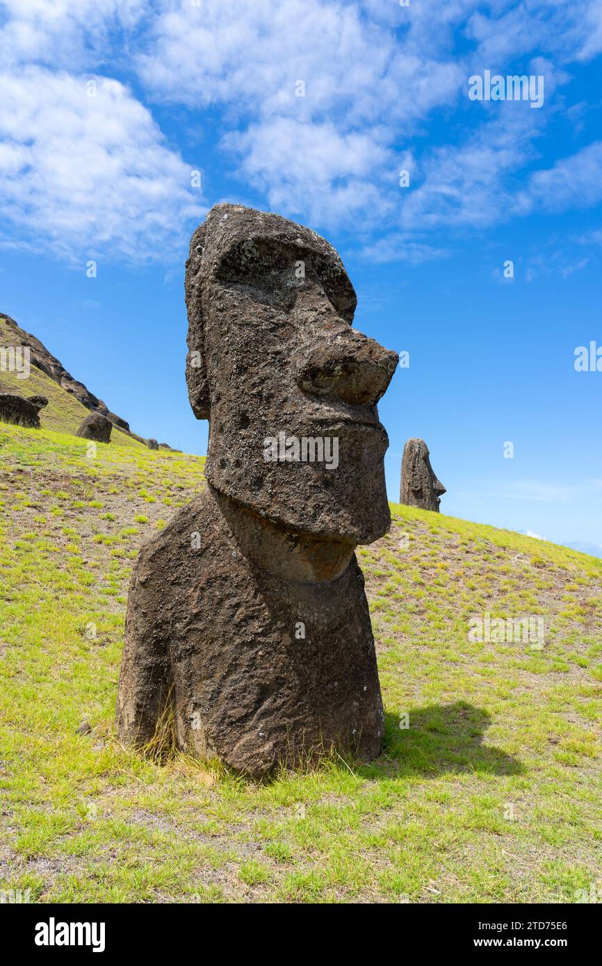 Moai se dirige sur la pente de Rano Raraku sur l'île de Pâques (Rapa Nui), au Chili. Banque D'Images
