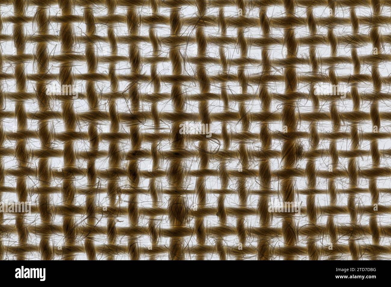 Texture de toile de jute grossière avec rétro-éclairage. Tissu tissé naturel. Macrophotographie Banque D'Images