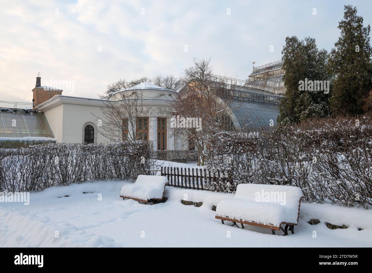 SAINT-PÉTERSBOURG, RUSSIE - 03 DÉCEMBRE 2023 : jour nuageux de décembre dans le jardin botanique de Pierre le Grand Banque D'Images