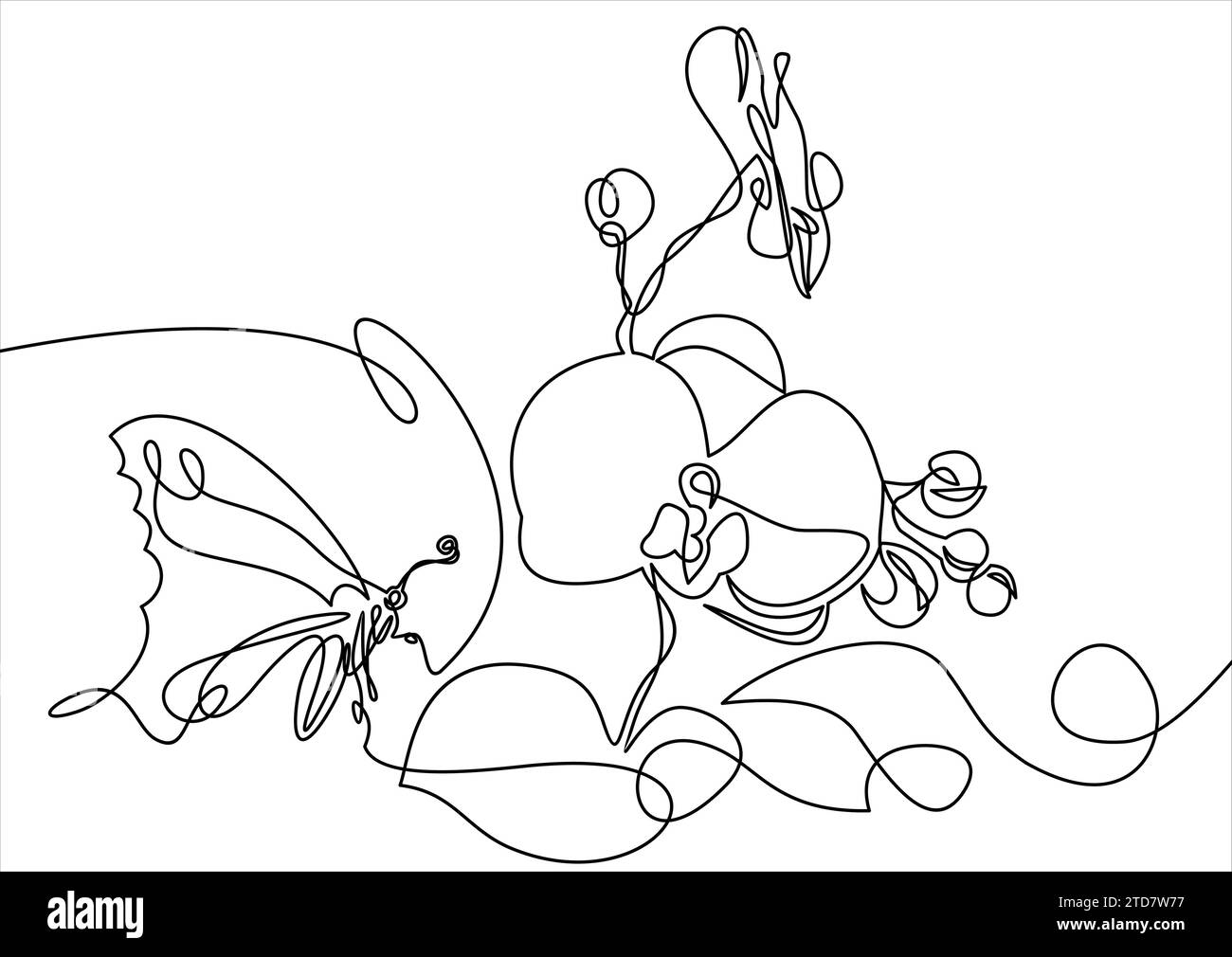 Fleur de printemps nature avec papillon. Illustration vectorielle.continue une ligne Illustration de Vecteur
