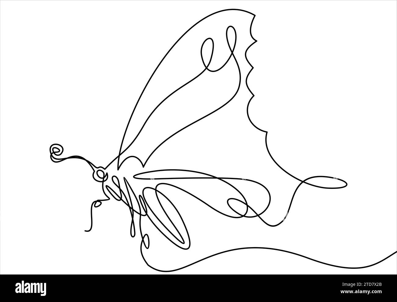 Papillon. Dessin au trait continu. Illustration vectorielle. Illustration de Vecteur
