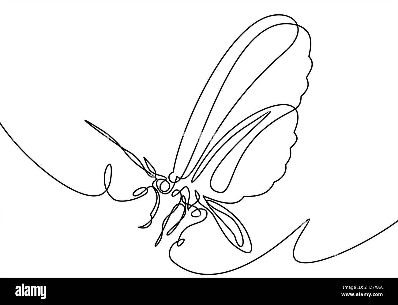Papillon. Dessin au trait continu. Illustration vectorielle. Illustration de Vecteur