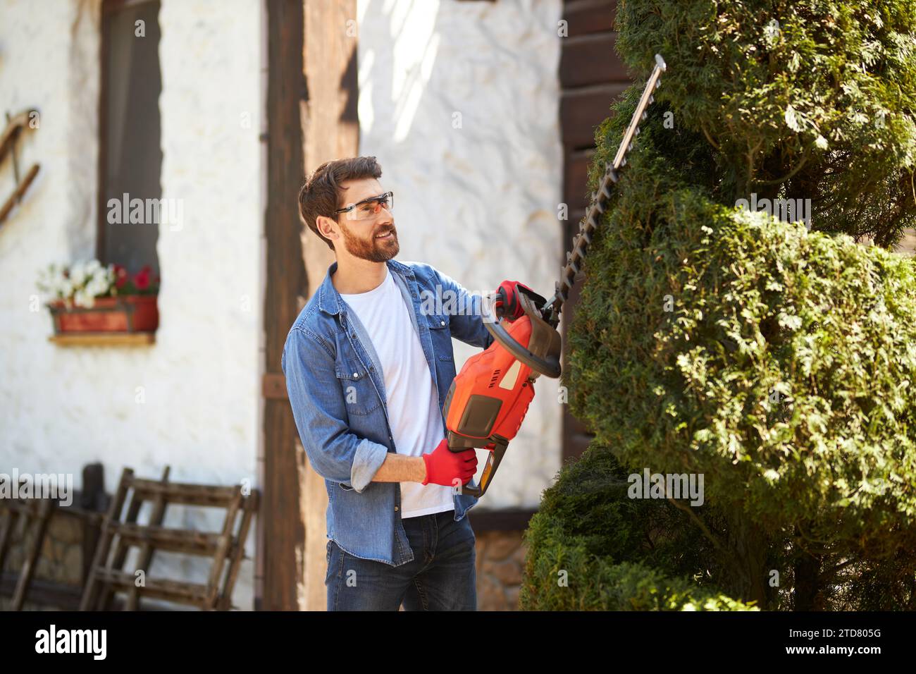 Jardinier masculin heureux et créatif façonnant la spirale de thuja avec taille-haie sur la cour arrière. Vue latérale d'un homme concentré portant des lunettes de sécurité et des gants de mise en forme Banque D'Images Jardinier masculin heureux et créatif façonnant la spirale de thuja avec taille-haie sur la cour arrière. Vue latérale d'un homme concentré portant des lunettes de sécurité et des gants de mise en forme Banque D'Images
