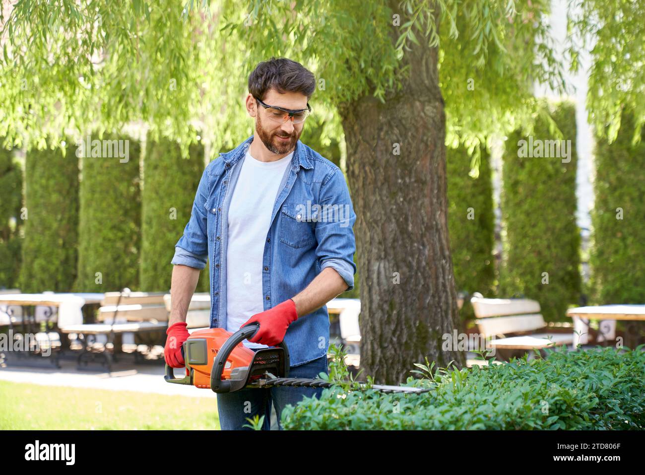 Homme caucasien dans des lunettes de protection coupant buisson de buis avec taille-haie à l'extérieur. Vue de face du jardinier professionnel en utilisant des équipements modernes, tandis que Banque D'Images