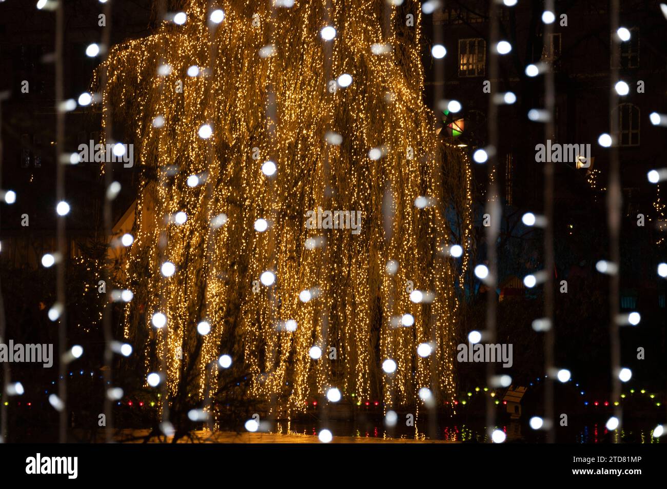 Réflexions colorées sur le lac de plaisance dans les jardins de Tivoli et lumières de Noël dans le cadre du Julemarked (marché de Noël) à Copenhague au Danemark Banque D'Images