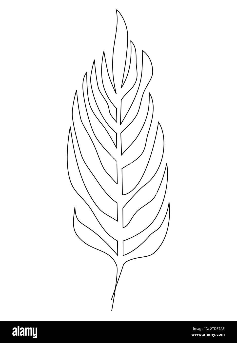 Art de la ligne de feuilles de palmier tropical Illustration vectorielle isolée sur fond blanc. Illustration de Vecteur