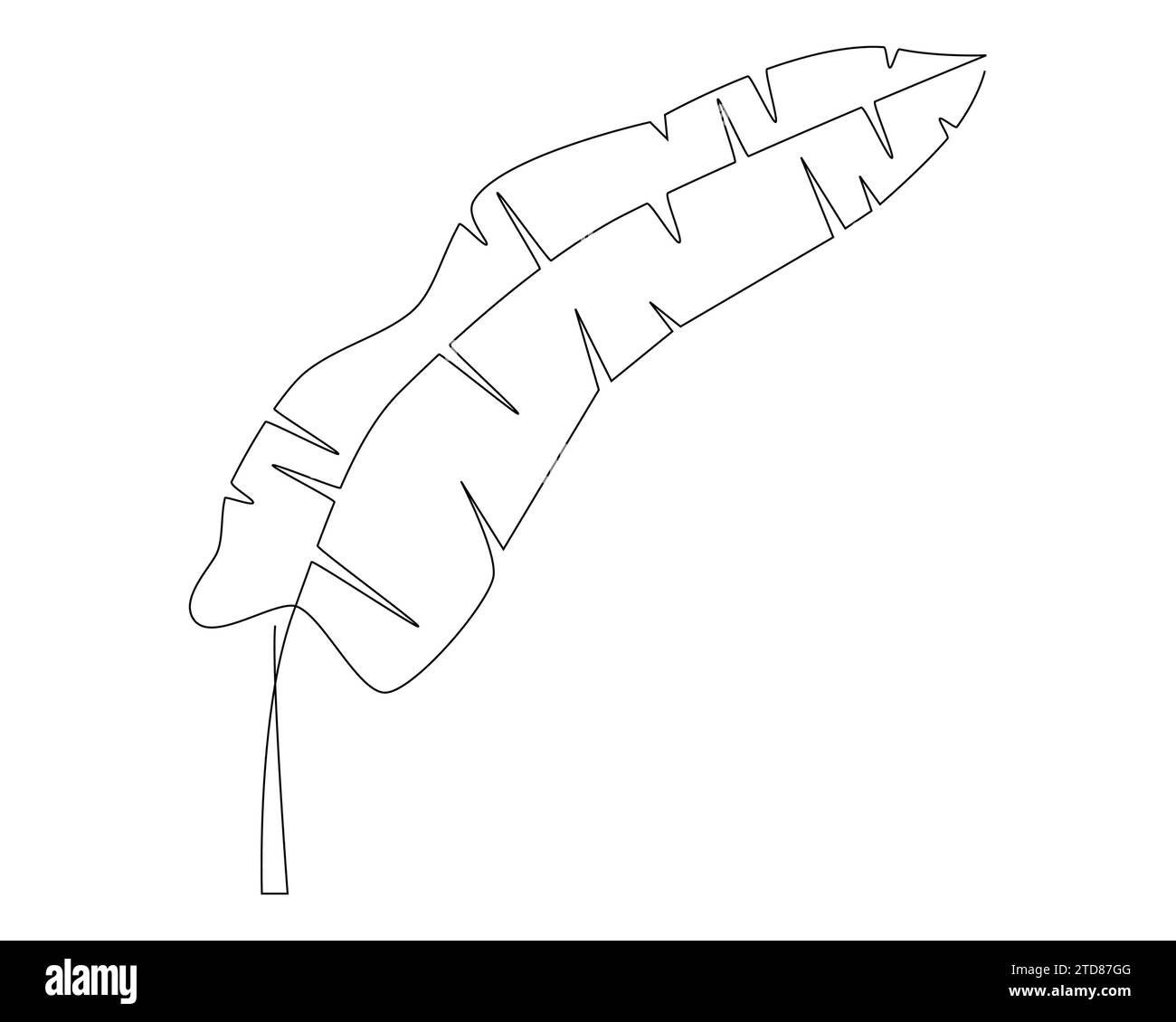 Illustration de vecteur de contour de feuille de bananier tropical isolé sur fond blanc. Illustration de Vecteur