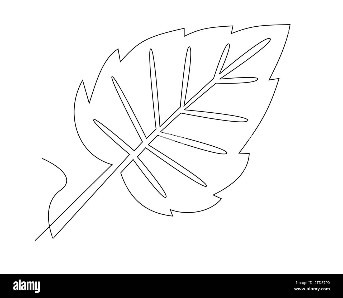 icône de feuille tropicale sur fond blanc illustration vectorielle de conception plate Illustration de Vecteur