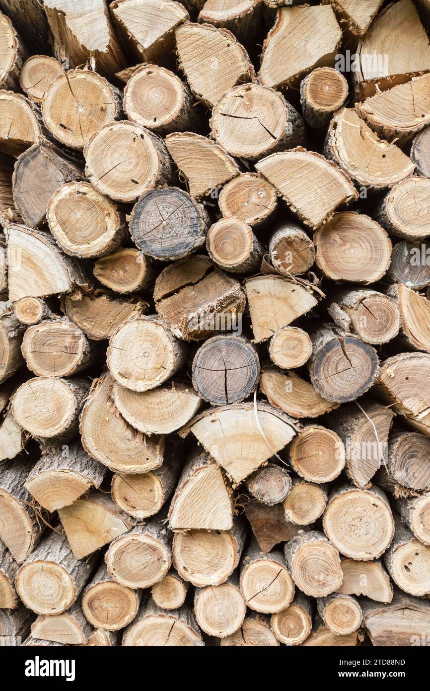 Préparation du bois de chauffage pour l'hiver. bois de chauffage arrière-plan, des piles de bois de chauffage dans la forêt. Pile de bois de chauffage. Banque D'Images