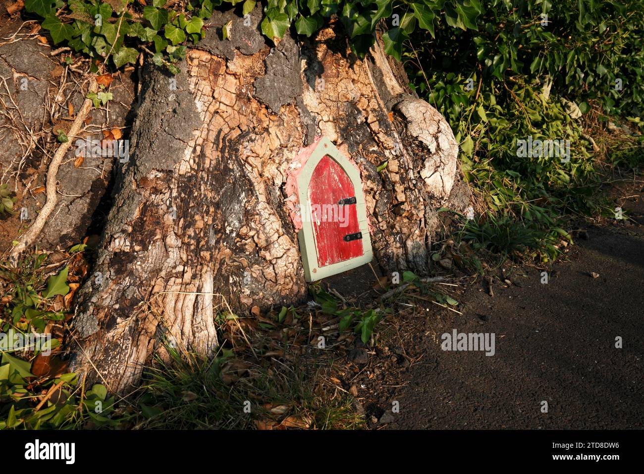 Porte de fée à la base d'un arbre. Entrez dans le monde de Make Believe. Banque D'Images