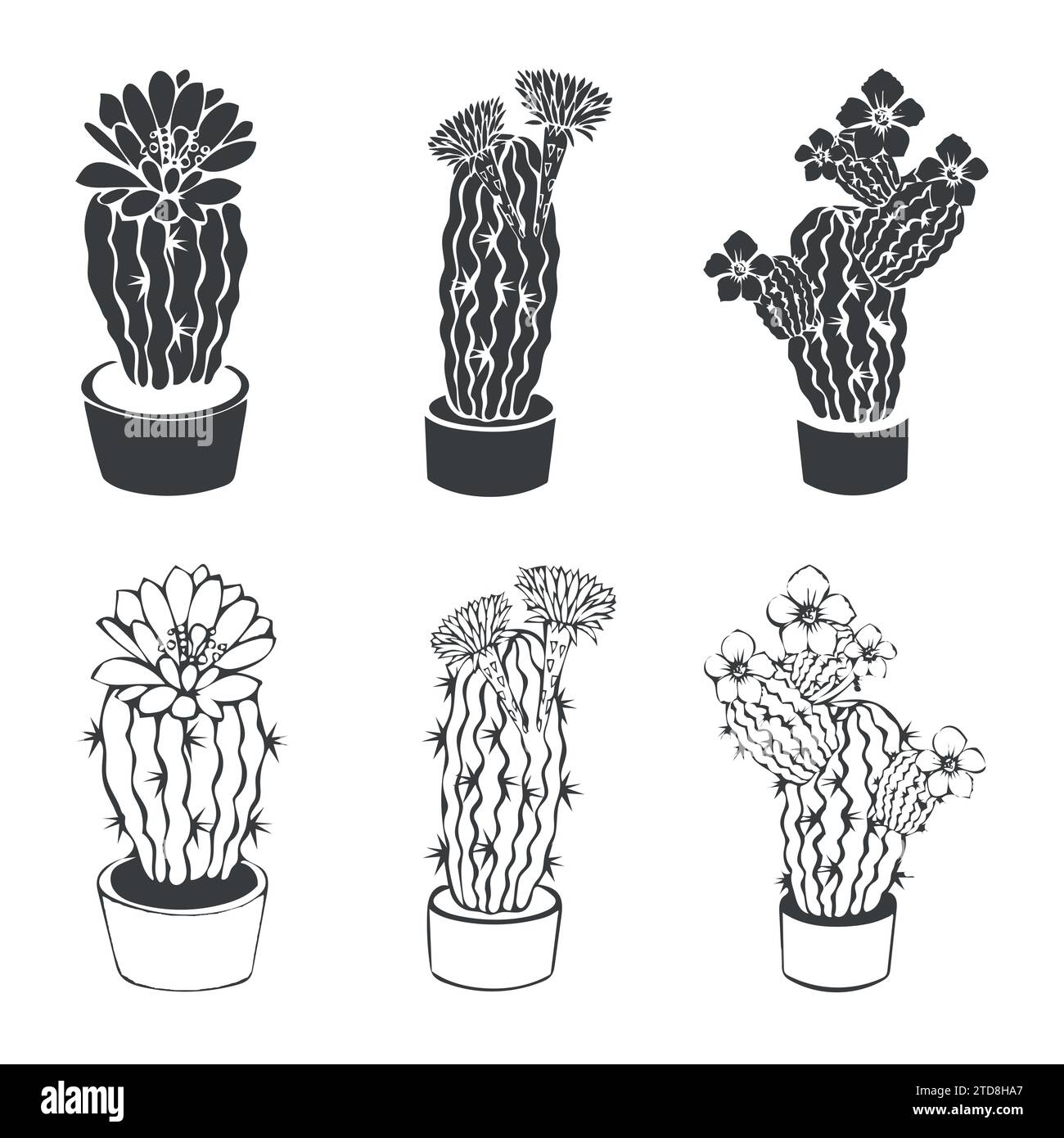 Collection vectorielle de cactus dessiné à la main avec collection d'ensemble de croquis de fleurs dans le style doodle isolé sur un fond blanc. Illustration de Vecteur