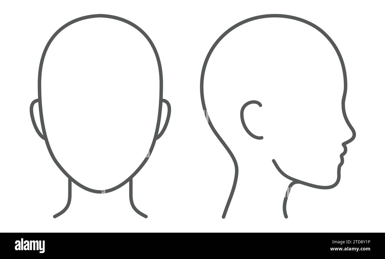 Schéma de profil de face et de tête vierge. Modèle de tête unisexe pour infographie médicale. Illustration vectorielle isolée. Illustration de Vecteur