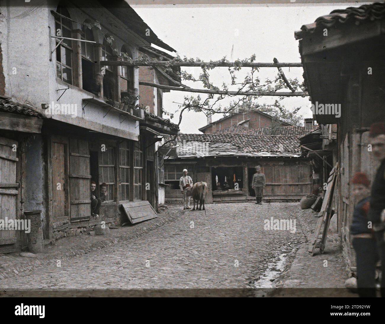 Prizren, Kosovo, Serbie Une rue bordée d'étals, activité économique, relations internationales, HD, vie quotidienne, logement, Architecture, Société, Boutique, magasin, présence étrangère, existe en haute définition, scène de rue, rue, quartier, Armée, Serbie, Prizren, Une rue avec treillis, un Albanais avec 1 vaches, Prizren, 07/05/1913 - 07/05/1913, Léon, Auguste, photographe, 1913 - Balkans - Léon Busy et Auguste Léon - (23 avril - 9 juin), Autochrome, photo, verre, Autochrome, photo, positif, horizontal, taille 9 x 12 cm Banque D'Images