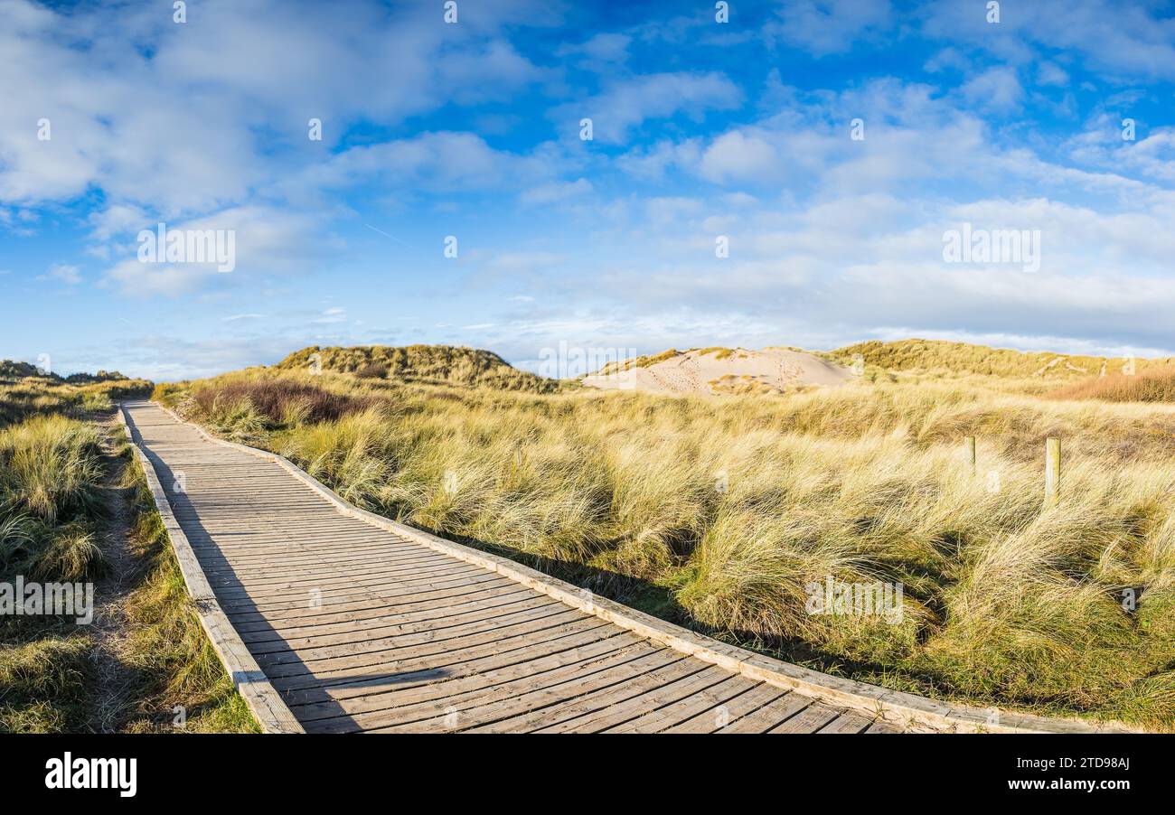 Un panorama multi-image d'une promenade en planche à travers les dunes de sable à Formby menant à la magnifique plage et le littoral. Banque D'Images