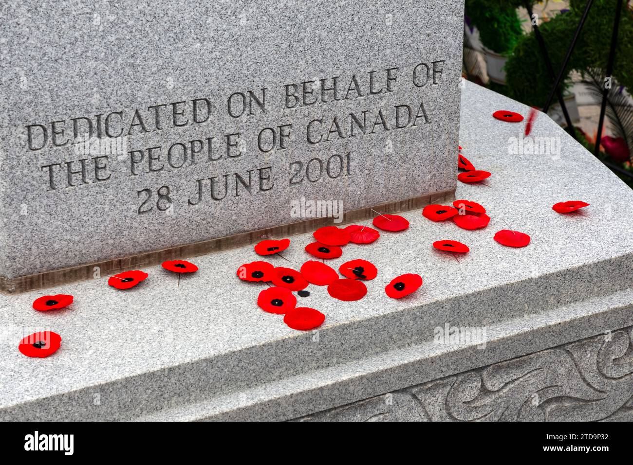 Cimetière Beechwood et cimetière militaire national Ottawa Ontario Canada. Coquelicots placés sur le cénotaphe après la cérémonie du jour du souvenir à Otta Banque D'Images