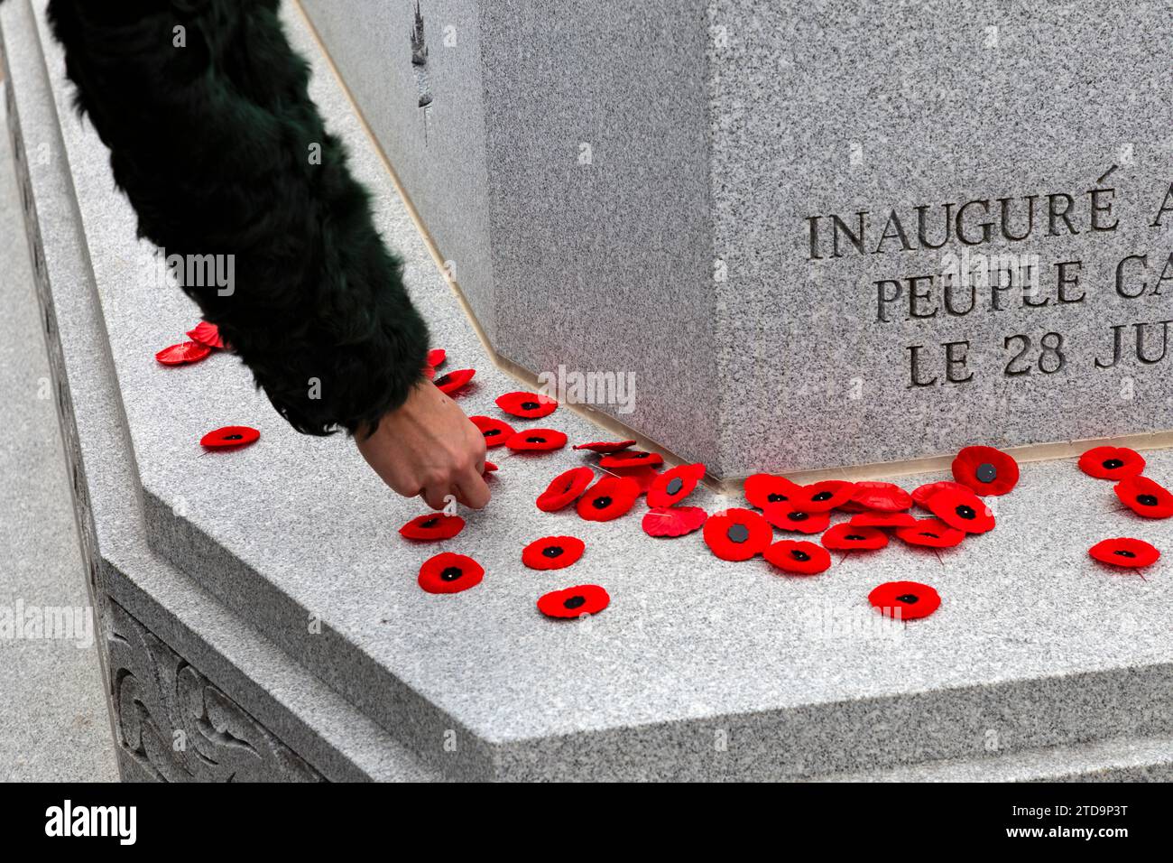 Cimetière Beechwood et cimetière militaire national Ottawa Ontario Canada. Coquelicots placés sur le cénotaphe après la cérémonie du jour du souvenir à Otta Banque D'Images