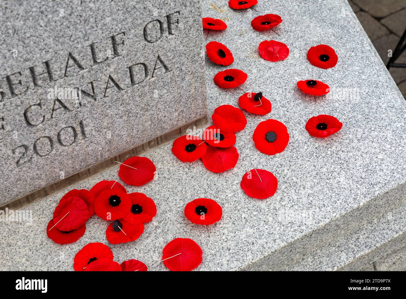 Cimetière Beechwood et cimetière militaire national Ottawa Ontario Canada. Coquelicots placés sur le cénotaphe après la cérémonie du jour du souvenir à Otta Banque D'Images