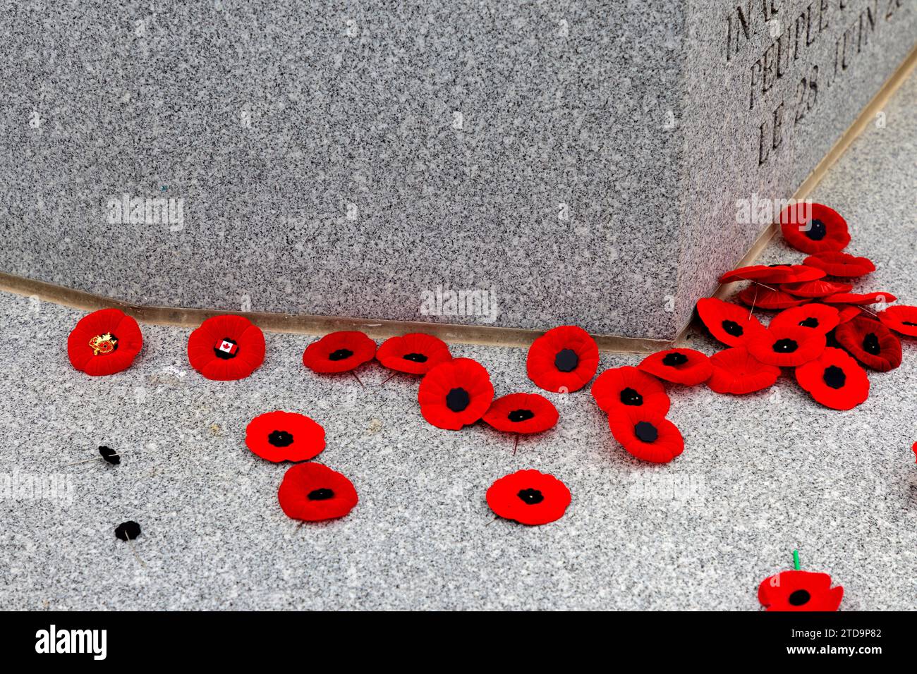 Cimetière Beechwood et cimetière militaire national Ottawa Ontario Canada. Coquelicots placés sur le cénotaphe après la cérémonie du jour du souvenir à Otta Banque D'Images