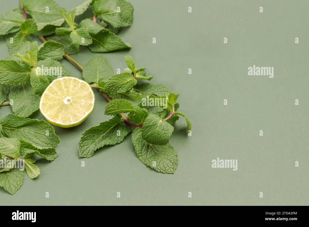 Citron vert et menthe sur fond vert. Espace de copie. Vue de dessus. Remède alternatif contre le rhume et la grippe. Les soins de santé. Banque D'Images