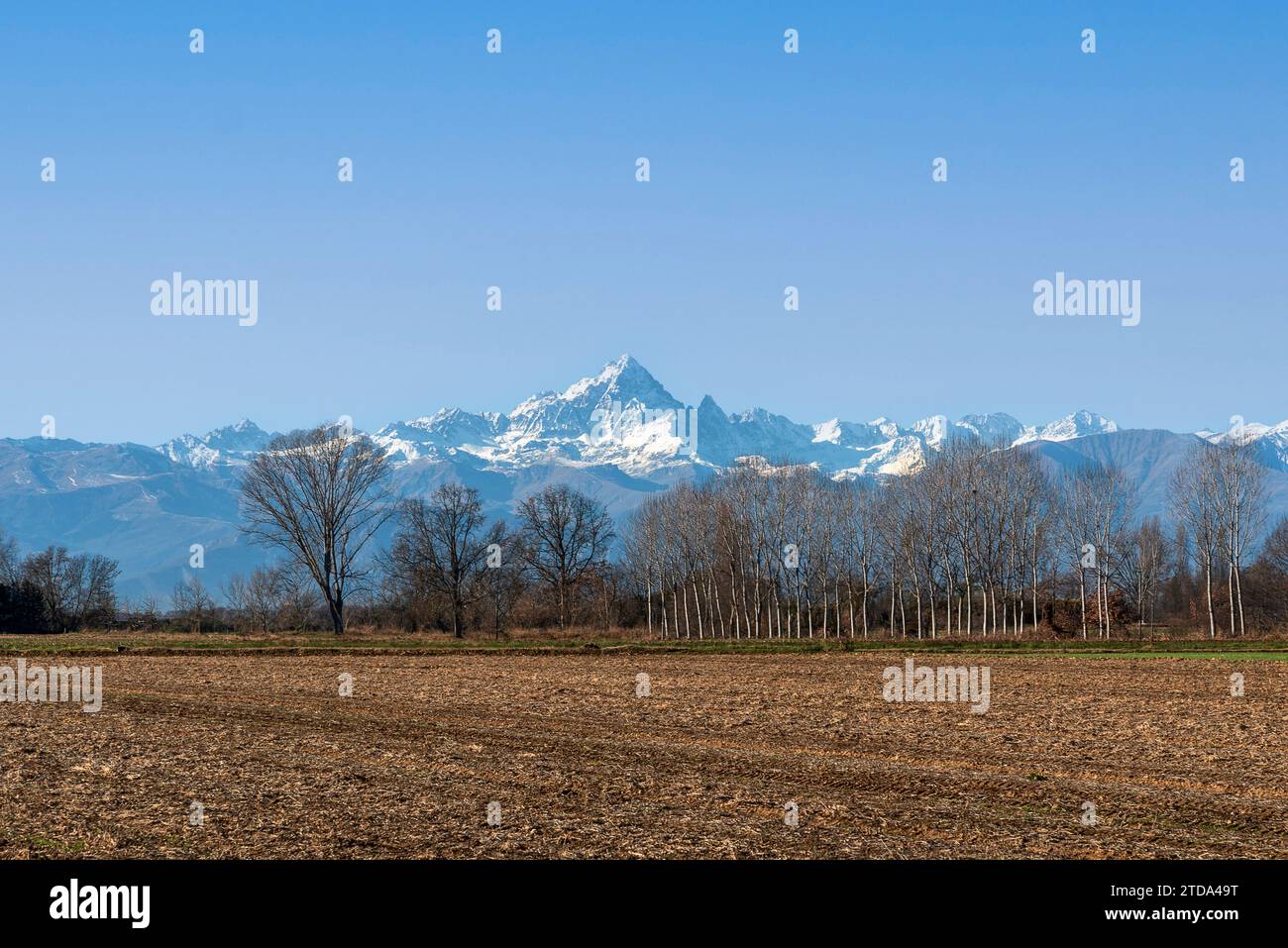 Paysage de jachères après la récolte du maïs en hiver avec des arbres sans feuilles dans la vallée du Pô dans la province de Cuneo, Italie, avec fond de Mont Banque D'Images