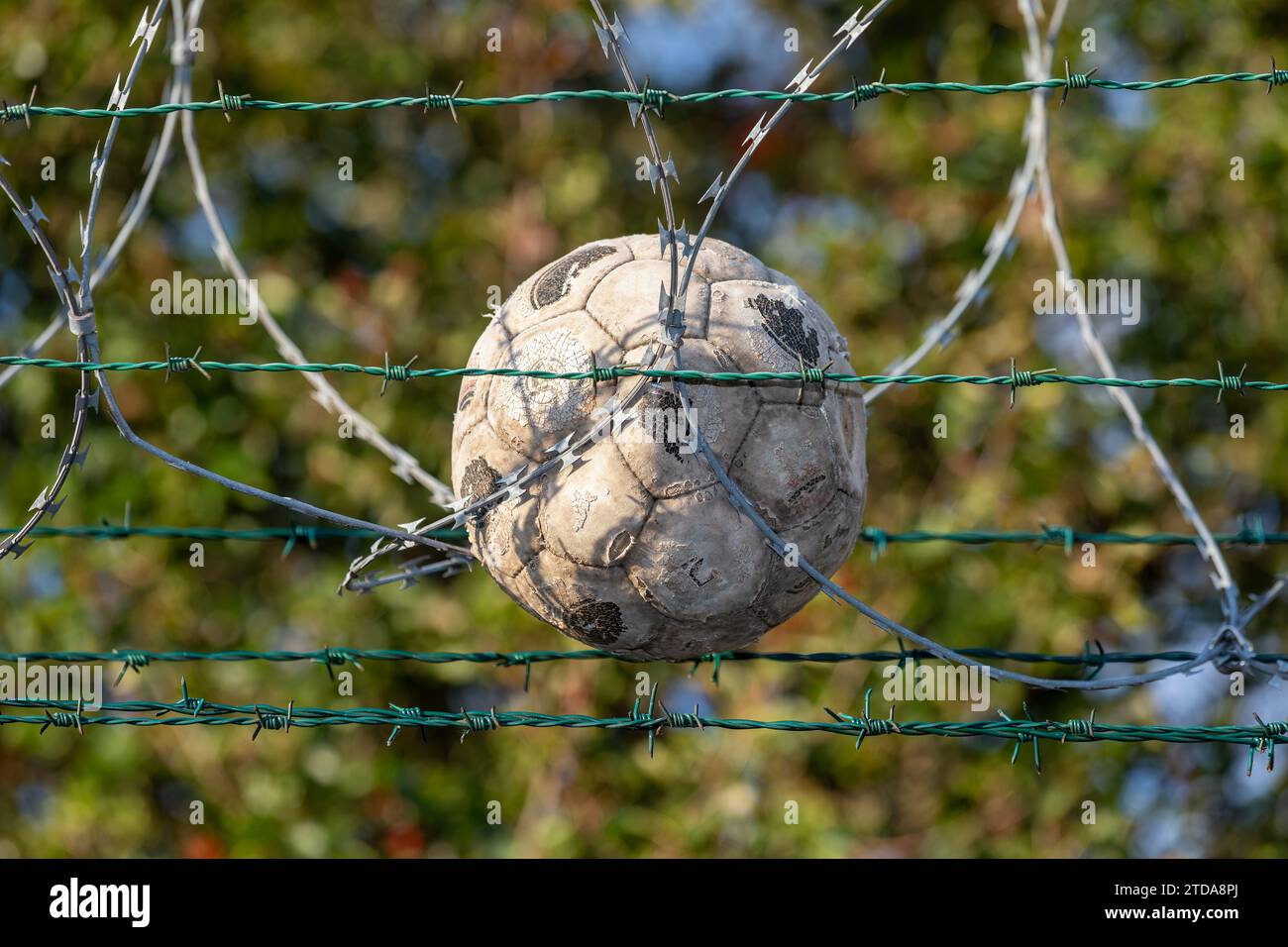 Vieux ballon de football abandonné coincé dans des barbelés à la frontière, fond d'arbres flous, clôture de sécurité Banque D'Images