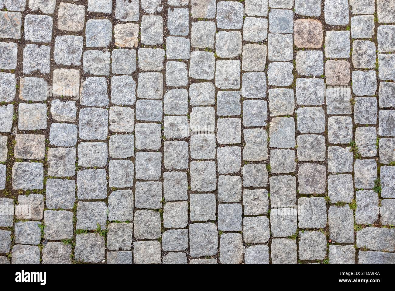 Charme du vieux monde : texture de fond de pavé Banque D'Images