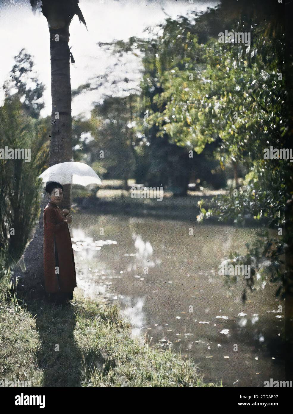 Hà-nôi, Hainoi Vietnam, Tonkin, Indochine Une jeune femme de classe supérieure, abritant sous un parasol blanc au bord d'un plan d'eau dans un jardin public, êtres humains, vêtements, Habitat, Architecture, femme, Costume, eau ambiante, parapluie, parapluie, parasol, Lotus, Portrait, coiffure, coiffures, parc, jardin, Indochine, Tonkin, femmes, classe supérieure, la même, Hà-nôi, Hainoi Vietnam, 01/09/1915 - 30/11/1915, Busy, Léon, Léon Busy photographe en Indochine, Autochrome, photo, verre, Autochrome, photo, positif, vertical, taille 9 x 12 cm Banque D'Images