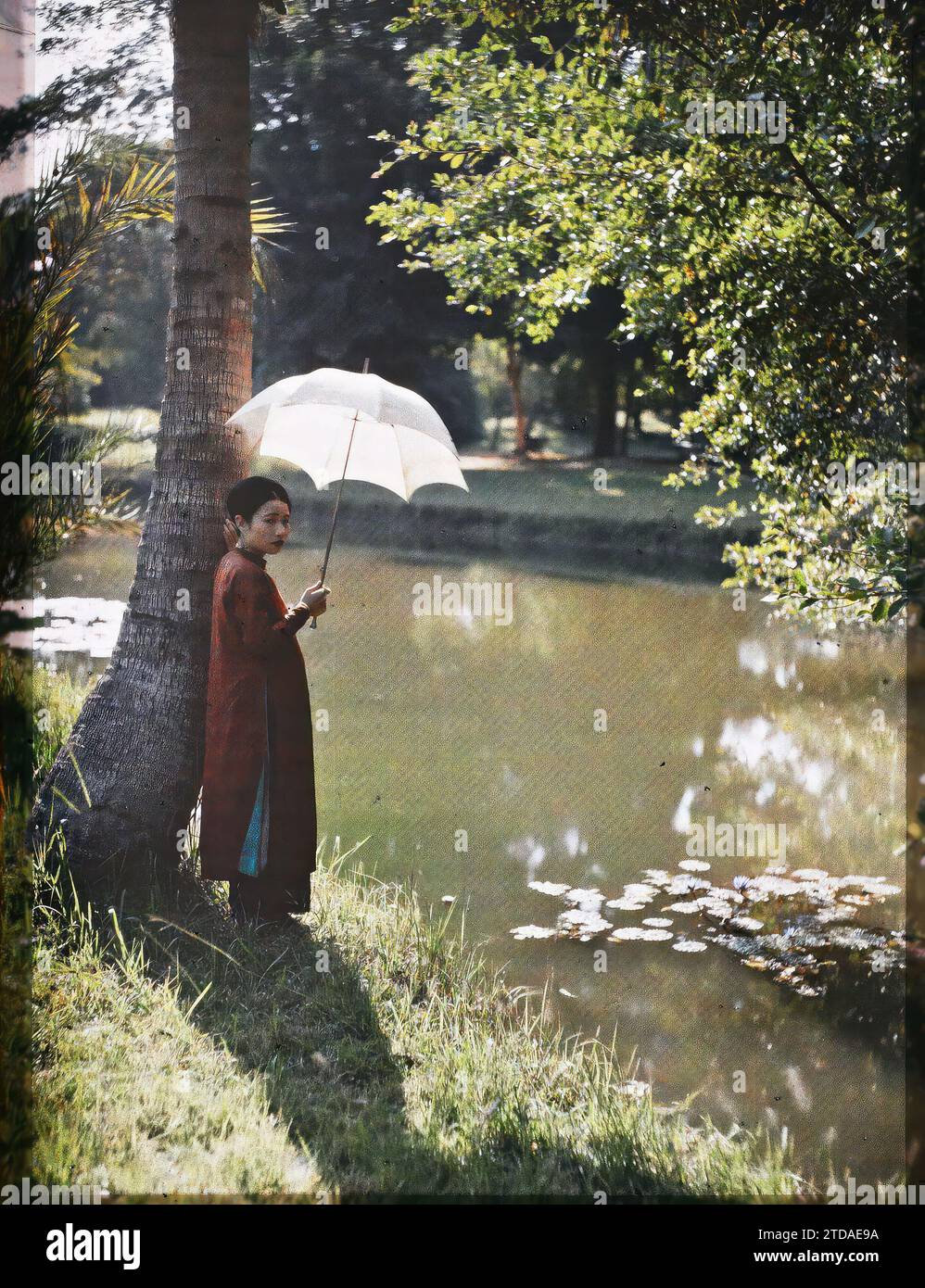 Hà-nôi, Hainoi Vietnam, Tonkin, Indochine Une jeune femme de classe supérieure, abritant sous un parasol blanc au bord d'un plan d'eau dans un jardin public, êtres humains, vêtements, Habitat, Architecture, femme, Costume, eau ambiante, parapluie, parapluie, parasol, Lotus, Portrait, coiffure, coiffures, parc, jardin, Indochine, Tonkin, Young Elegant (classe aisée), Hà-nôi, Hainoi Vietnam, 01/09/1915 - 30/11/1915, occupé, Léon, Léon Busy photographe en Indochine, Autochrome, photo, verre, Autochrome, photo, positif, vertical, taille 9 x 12 cm Banque D'Images