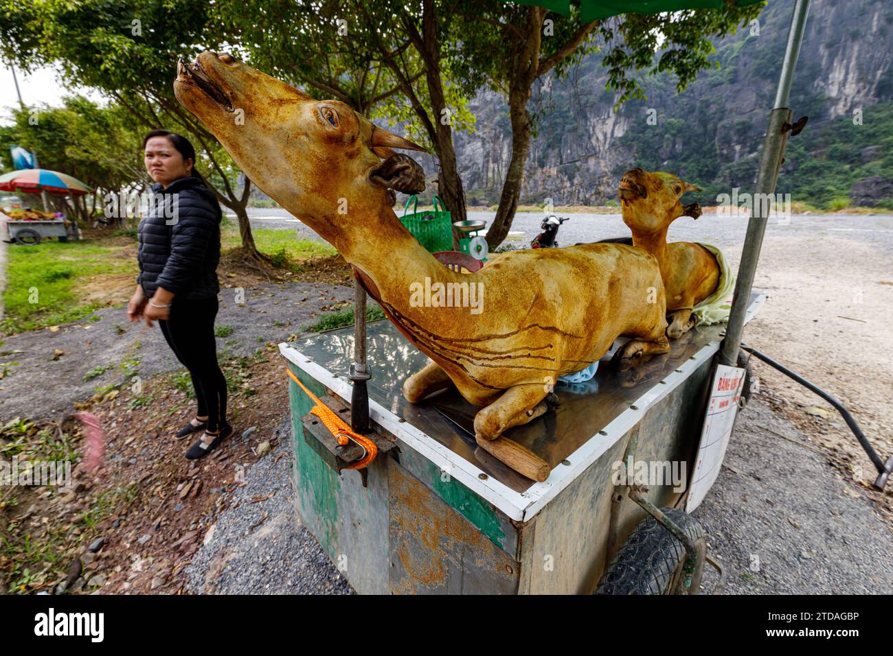 Viande de chèvre de Ninh Binh au Vietnam Banque D'Images