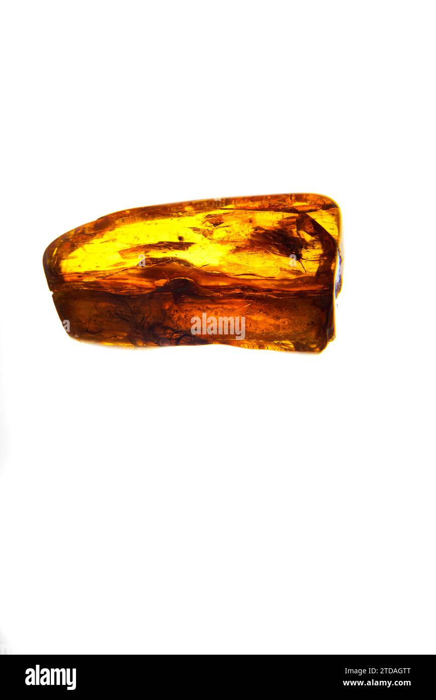 Jaune ambre naturel presque transparent avec inclusions.très bel ambre avec un coléoptère à l'intérieur sur un fond blanc Banque D'Images Jaune ambre naturel presque transparent avec inclusions.très bel ambre avec un coléoptère à l'intérieur sur un fond blanc Banque D'Images