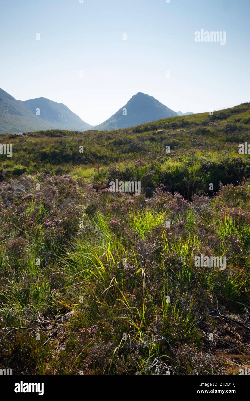 Buachaille Etive Beag vu depuis les landes sur la West Highland Way. Glencoe, Écosse, Royaume-Uni. Banque D'Images