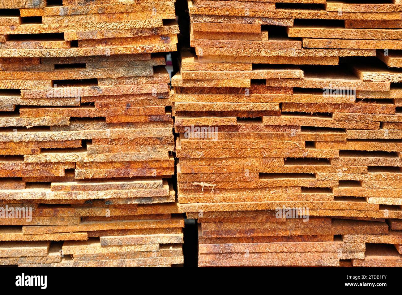 Texture abstraite du bois de shakes de cèdre, un matériau de toiture dans une cour de bois. Banque D'Images